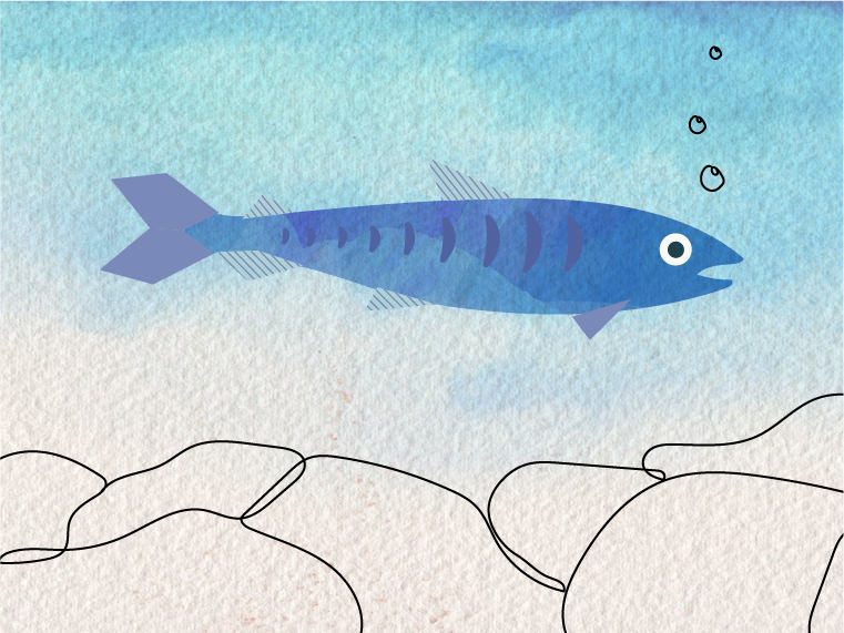 SalmonLife 04 04 fingerling